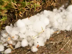 Colorado weather: Afternoon thunderstorms to bring damaging winds, severe hail