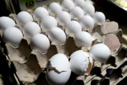 Egg prices continue to increase despite bird flu outbreak slowing